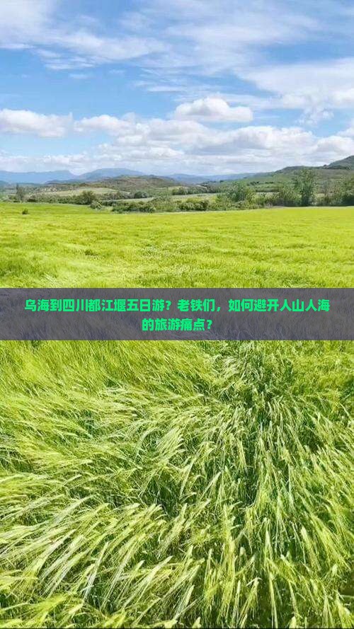乌海到四川都江堰五日游？老铁们，如何避开人山人海的旅游痛点？