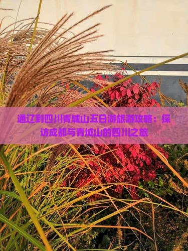 通辽到四川青城山五日游旅游攻略：探访成都与青城山的四川之旅