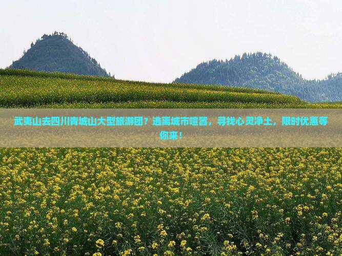 武夷山去四川青城山大型旅游团？逃离城市喧嚣，寻找心灵净土，限时优惠等你来！