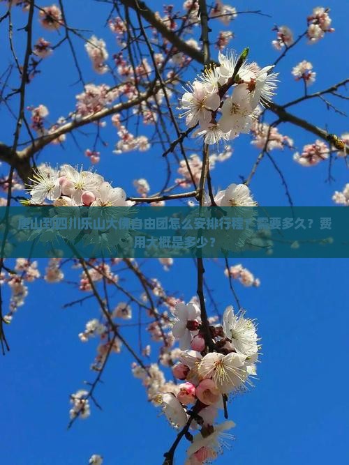 唐山到四川乐山大佛自由团怎么安排行程？需要多久？费用大概是多少？