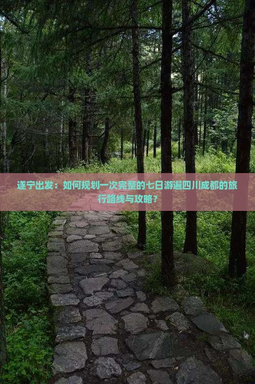 遂宁出发：如何规划一次完整的七日游遍四川成都的旅行路线与攻略？