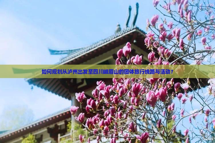 如何规划从泸州出发至四川峨眉山的团体旅行线路与活动？