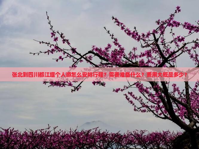 张北到四川都江堰个人游怎么安排行程？需要准备什么？费用大概是多少？