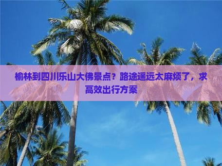 榆林到四川乐山大佛景点？路途遥远太麻烦了，求高效出行方案