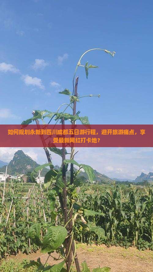 如何规划永新到四川成都五日游行程，避开旅游痛点，享受最新网红打卡地？