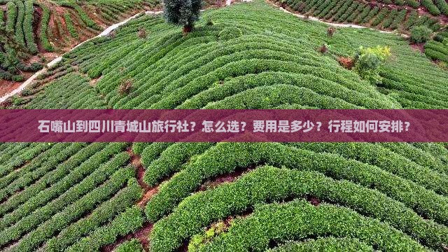 石嘴山到四川青城山旅行社？怎么选？费用是多少？行程如何安排？