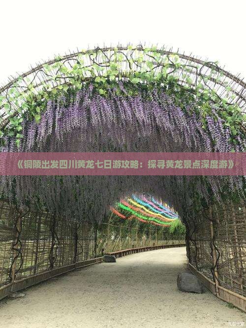 《铜陵出发四川黄龙七日游攻略：探寻黄龙景点深度游》