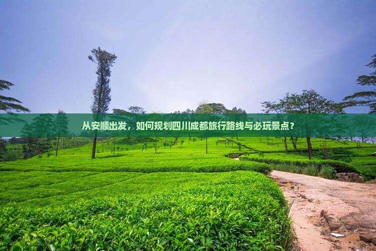 从安顺出发，如何规划四川成都旅行路线与必玩景点？