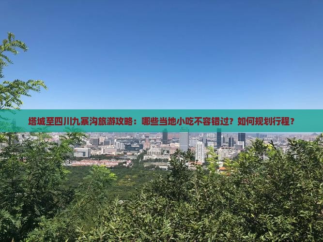 塔城至四川九寨沟旅游攻略：哪些当地小吃不容错过？如何规划行程？