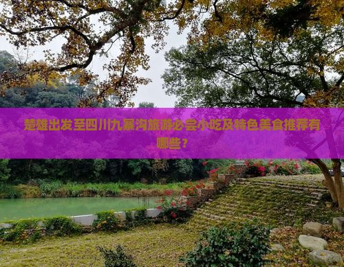 楚雄出发至四川九寨沟旅游必尝小吃及特色美食推荐有哪些？