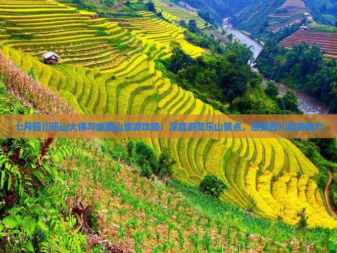 七月四川乐山大佛与峨眉山旅游攻略：深度游览乐山景点，感受四川旅游魅力