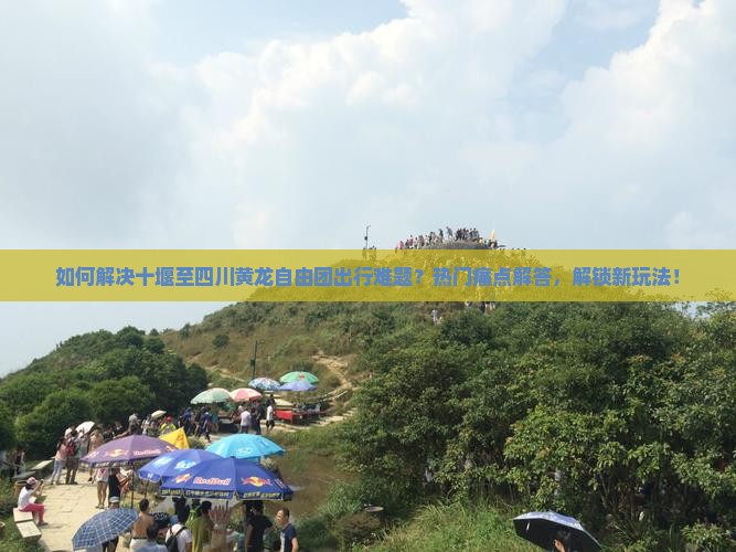 如何解决十堰至四川黄龙自由团出行难题？热门痛点解答，解锁新玩法！