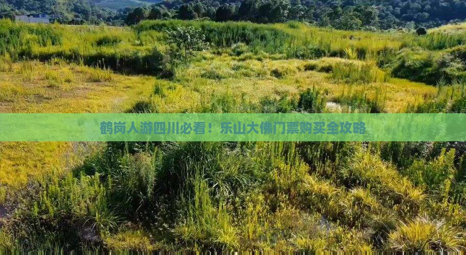 鹤岗人游四川必看！乐山大佛门票购买全攻略