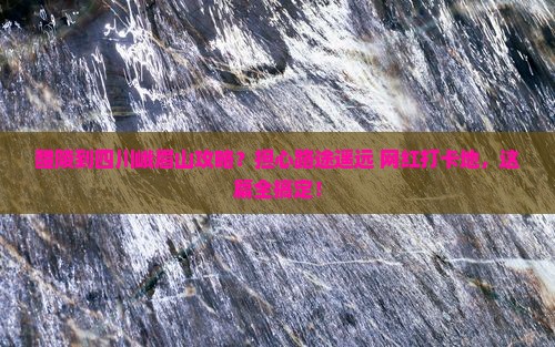 醴陵到四川峨眉山攻略？担心路途遥远+网红打卡地，这篇全搞定！