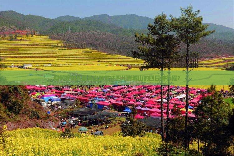 如何规划从威海出发前往四川青城山的四日游行程？