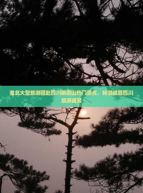 淮北大型旅游团赴四川峨眉山热门景点，畅游峨眉四川旅游盛宴