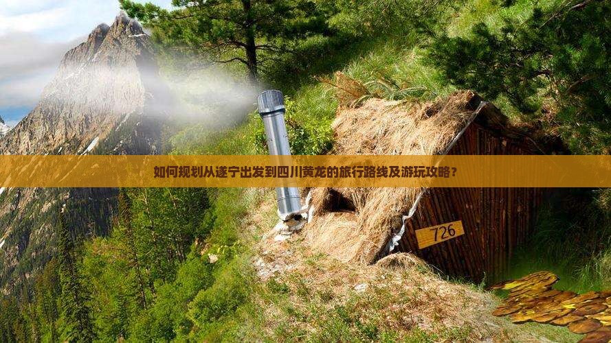 如何规划从遂宁出发到四川黄龙的旅行路线及游玩攻略？