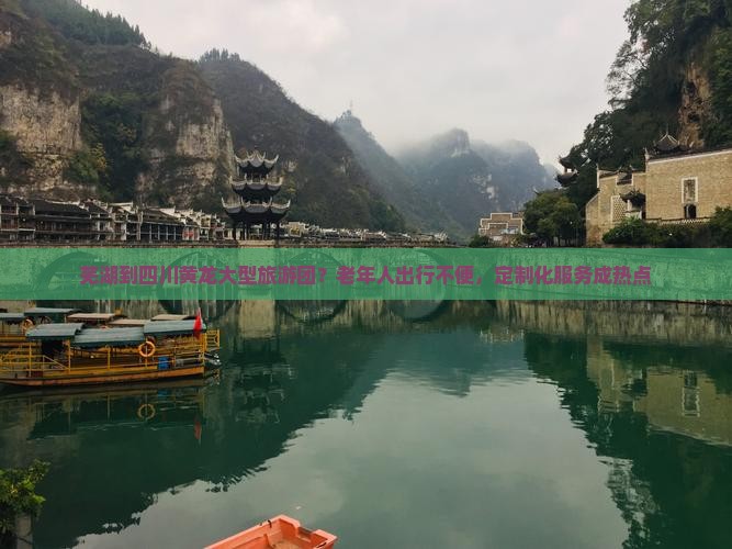芜湖到四川黄龙大型旅游团？老年人出行不便，定制化服务成热点