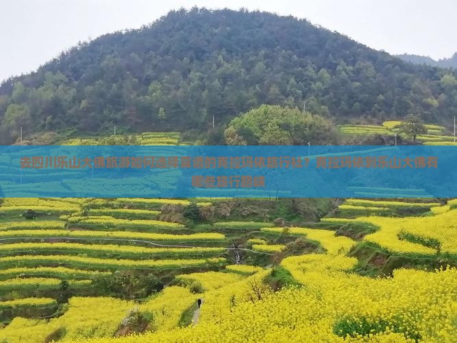 去四川乐山大佛旅游如何选择靠谱的克拉玛依旅行社？克拉玛依到乐山大佛有哪些旅行路峡