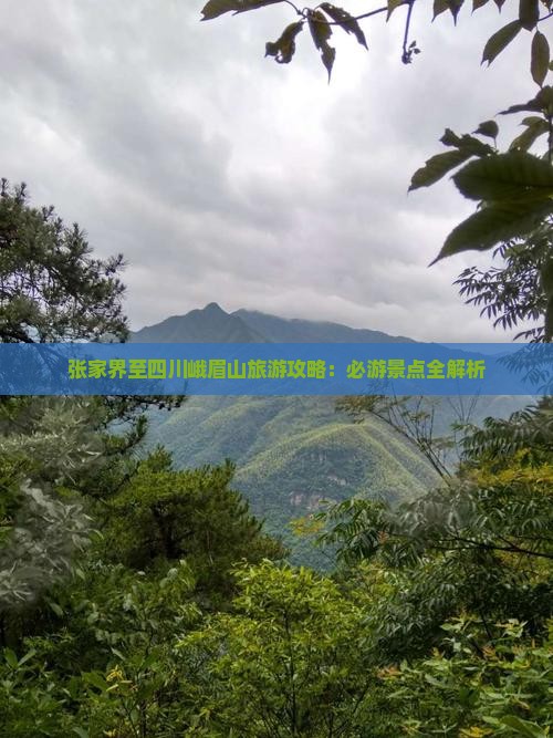 张家界至四川峨眉山旅游攻略：必游景点全解析