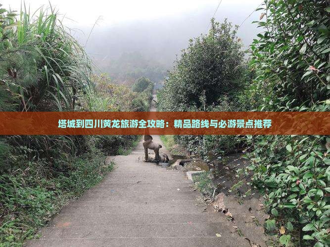 塔城到四川黄龙旅游全攻略：精品路线与必游景点推荐
