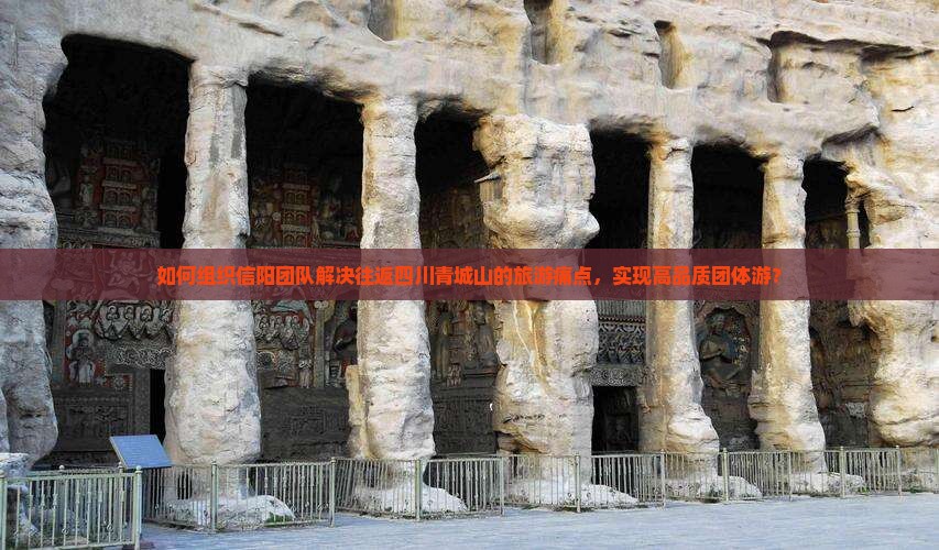如何组织信阳团队解决往返四川青城山的旅游痛点，实现高品质团体游？