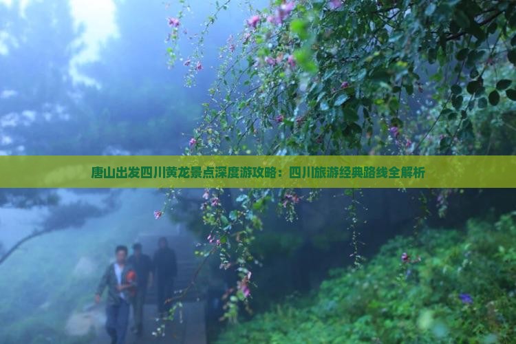 唐山出发四川黄龙景点深度游攻略：四川旅游经典路线全解析