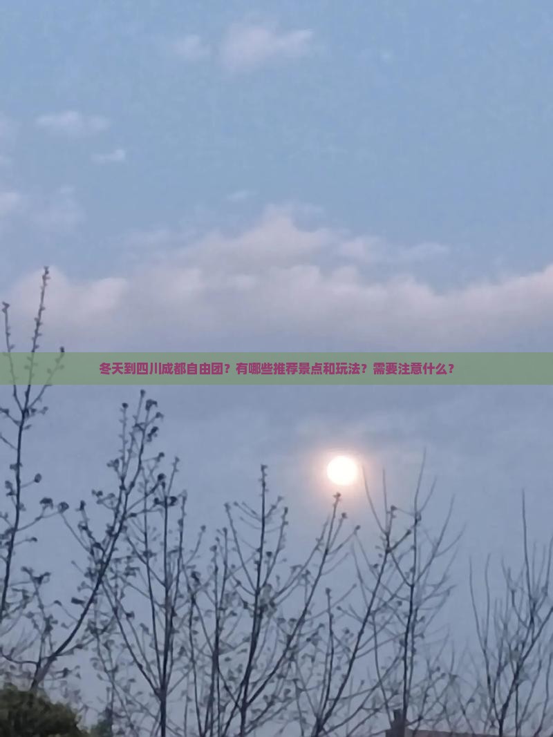 冬天到四川成都自由团？有哪些推荐景点和玩法？需要注意什么？
