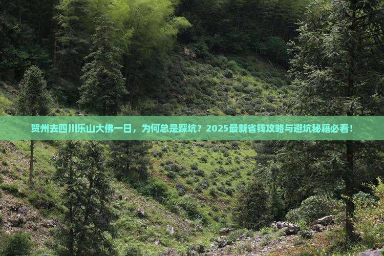贺州去四川乐山大佛一日