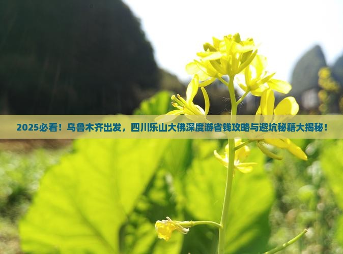 乌鲁木齐去四川乐山大佛旅行社
