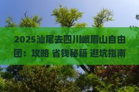 汕尾去四川峨眉山自由团