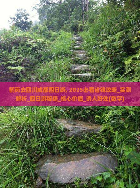 鹤岗去四川成都四日游