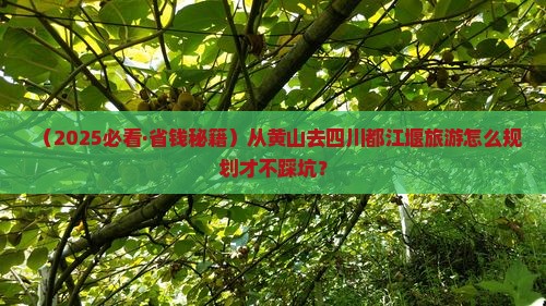 黄山去四川都江堰旅行社