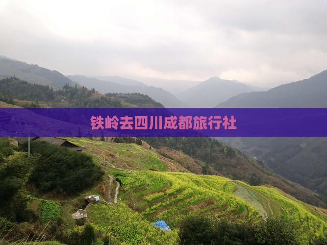 铁岭去四川成都旅行社