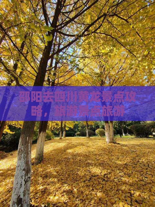 邵阳去四川黄龙景点