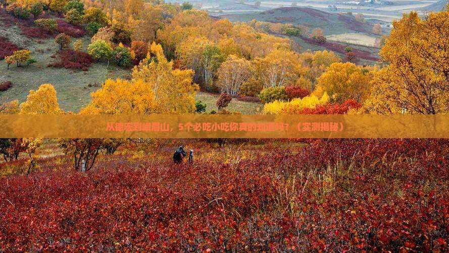 德宏到四川峨眉山旅游小吃