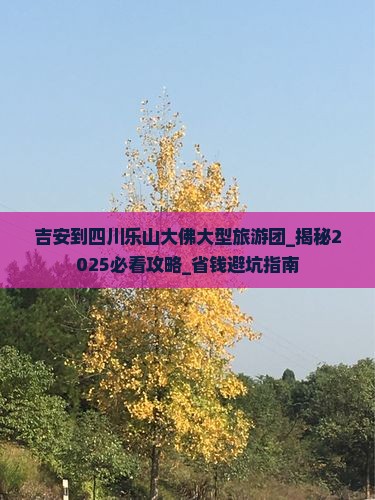 吉安到四川乐山大佛大型旅游团
