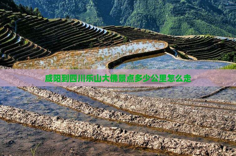 咸阳到四川乐山大佛景点
