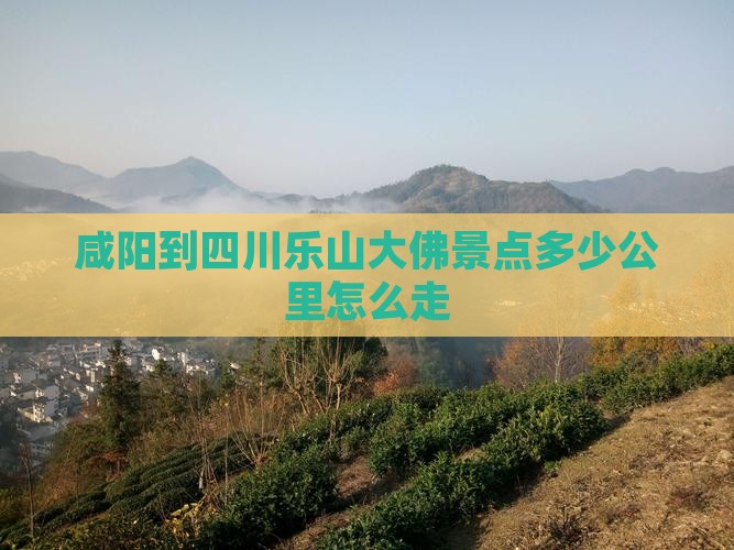 咸阳到四川乐山大佛景点