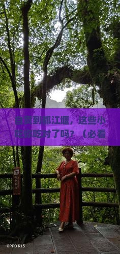 自贡到四川都江堰旅游小吃