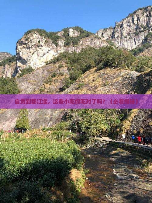 自贡到四川都江堰旅游小吃
