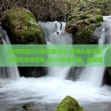 梧州到四川九寨沟旅行社