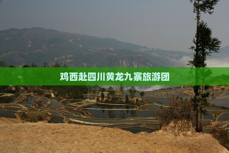 鸡西去四川黄龙大型旅游团