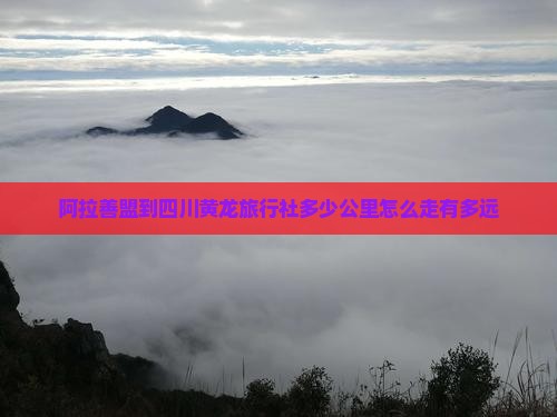 阿拉善盟到四川黄龙旅行社