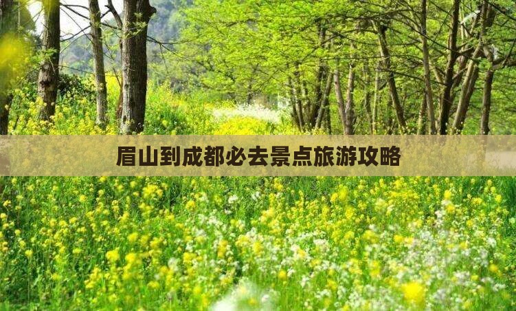 眉山到四川成都必去地