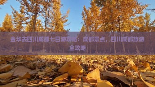 金华去四川成都七日游