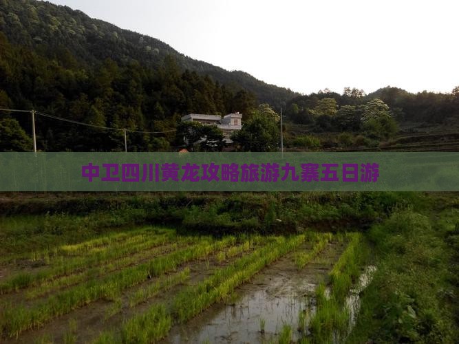 中卫去四川黄龙五日游