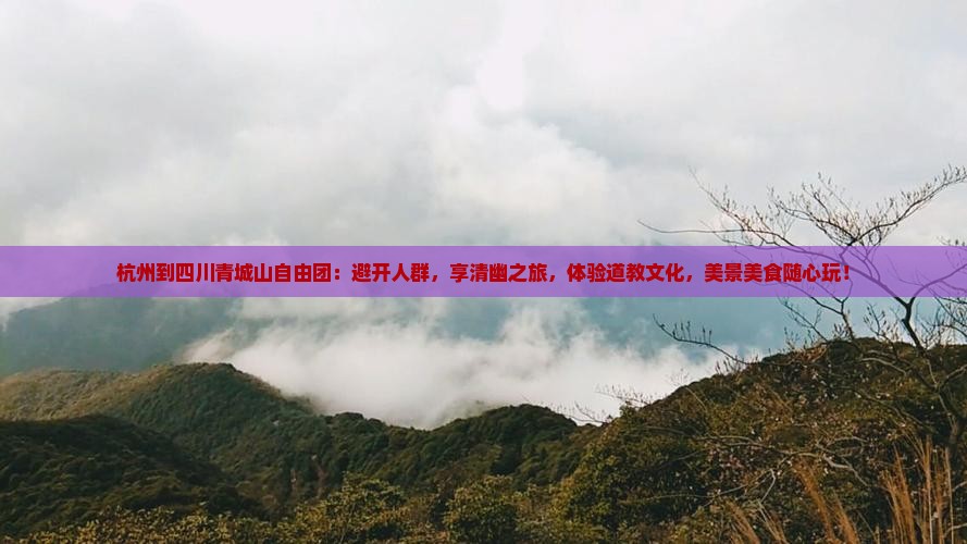 杭州到四川青城山自由团