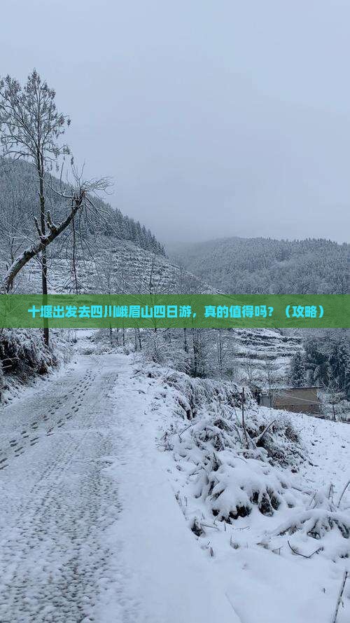 十堰去四川峨眉山四日游