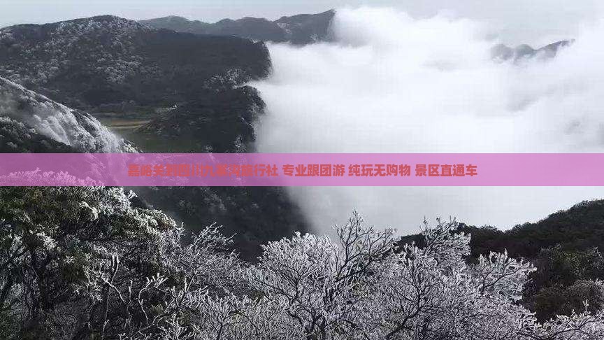 嘉峪关到四川九寨沟旅行社